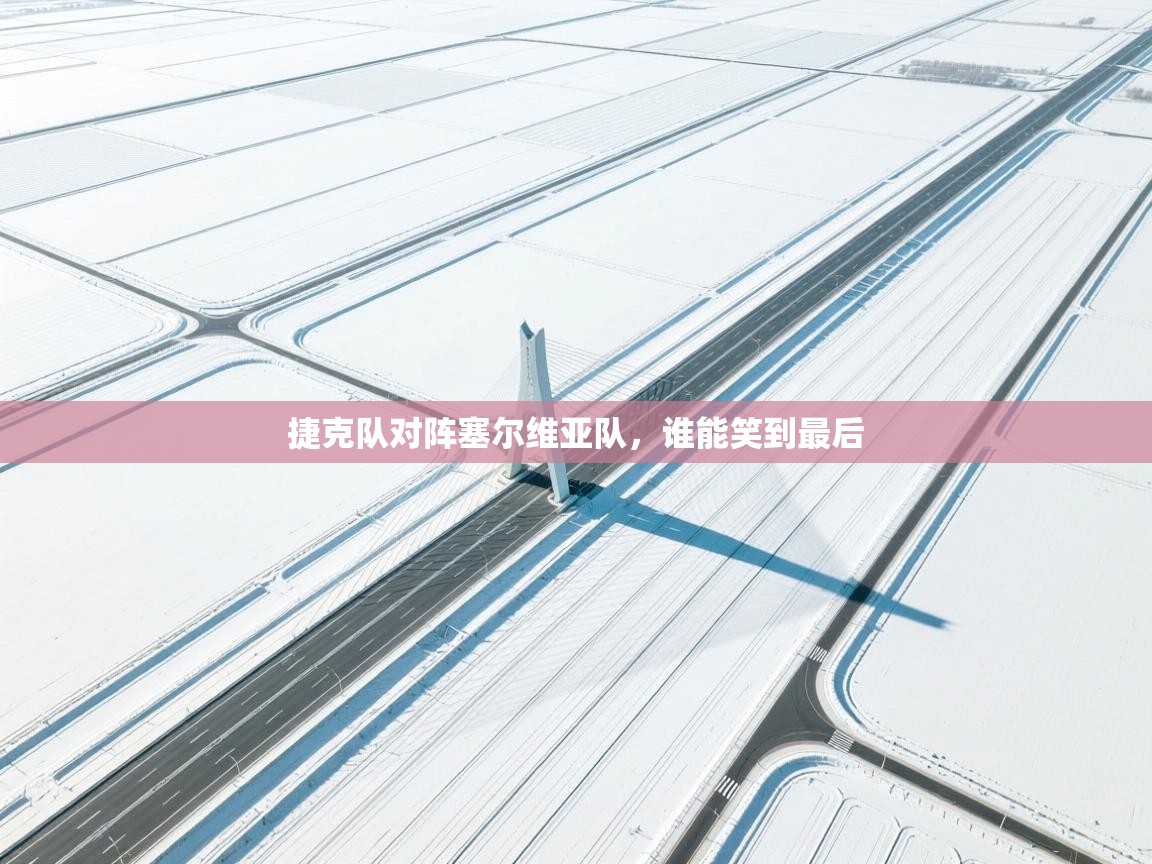 捷克队对阵塞尔维亚队,谁能笑到最后 第1张