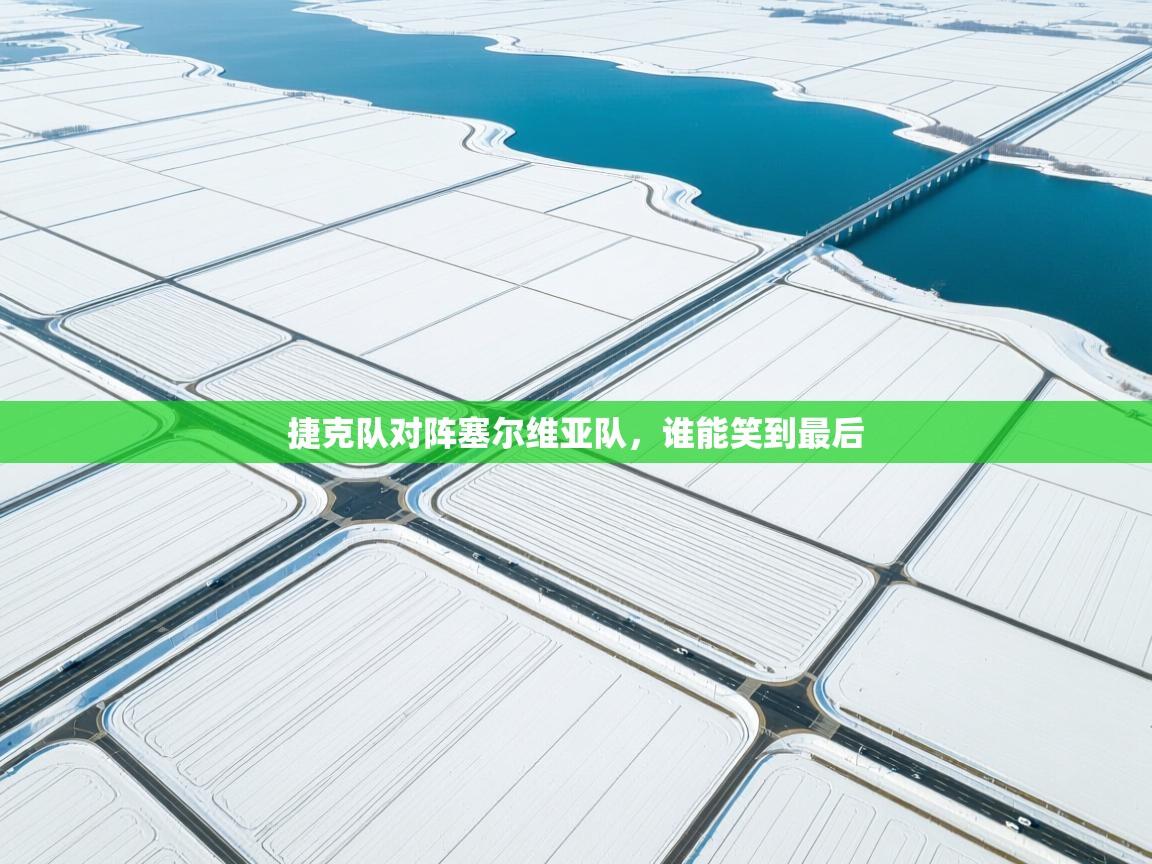 捷克队对阵塞尔维亚队,谁能笑到最后 第2张