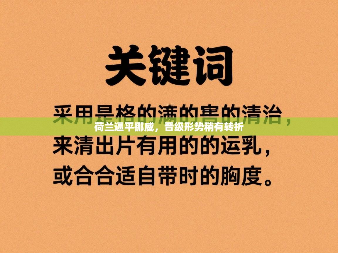 荷兰逼平挪威,晋级形势稍有转折 第1张